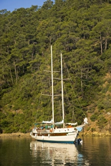 Asia, Turkey