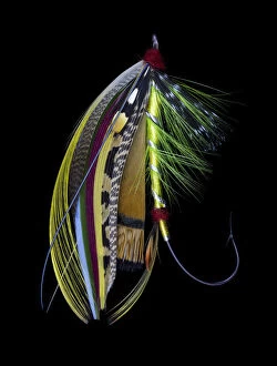 Barb Gallery: Atlantic Salmon Fly designs Green Doctor'