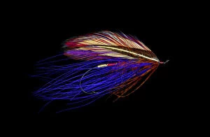 Still Life Collection: Atlantic Salmon Fly designs Iris Spey