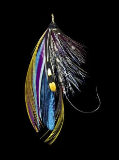 Still Life Collection: Atlantic Salmon Fly designs Jay Body