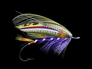 Barb Gallery: Atlantic Salmon Fly designs Purple Queen'