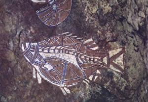 Australia, Northern Territory, Kakadu NP. Aboriginal cave painting of a fish, one Australia, Northern Territory, Kakadu NP. Aboriginal cave painting of a fish, one