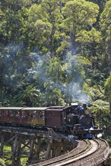Australia, Victoria, VIC, The Dandenong Ranges, Belgrave, Puffing Billy steam train Australia, Victoria, VIC, The Dandenong Ranges, Belgrave, Puffing Billy steam train