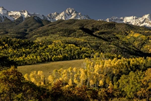Autumn aspen trees and Mount Sneffels, Mount Sneffels Wilderness, Uncompahgre National Forest Autumn aspen trees and Mount Sneffels, Mount Sneffels Wilderness, Uncompahgre National Forest