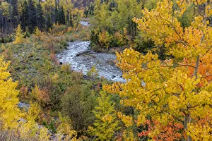 Autumn color along Divide Creek in Glacier National Park, Montana, USA Autumn color along Divide Creek in Glacier National Park, Montana, USA