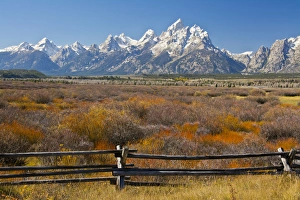autumn color; Grand Tetons; Buck-and_rail Fence; from Cunningham Cabin; Grand Teton autumn color; Grand Tetons; Buck-and_rail Fence; from Cunningham Cabin; Grand Teton