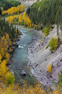 Autumn color along the Middle Fork of the Flathead River in Glacier National Park Autumn color along the Middle Fork of the Flathead River in Glacier National Park