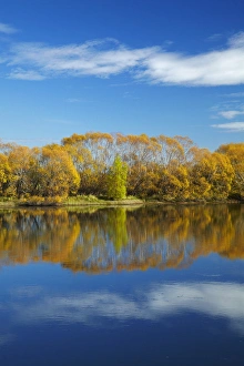 Autumn colour and Clutha River at Kaitangata, near Balclutha, South Otago, South Island Autumn colour and Clutha River at Kaitangata, near Balclutha, South Otago, South Island
