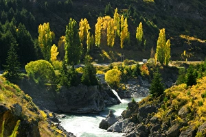 Autumn Colours, Roaring Meg, Kawarau River, Kawarau Gorge, near Cromwell, South Island Autumn Colours, Roaring Meg, Kawarau River, Kawarau Gorge, near Cromwell, South Island