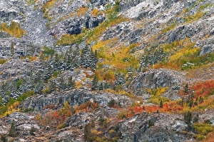 Autumn hues and fresh powder, John Muir Wilderness, Sierra Nevada Mountains, California Autumn hues and fresh powder, John Muir Wilderness, Sierra Nevada Mountains, California