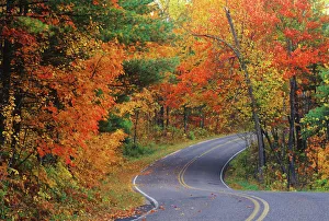 Images Dated 9th March 2011: Autumn trees line roadway in Itasca State Park near Bemidji, Minnesota, USA