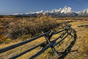 Teton Range Gallery: Autumn willows and rail fence and Teton range, Grand Teton National Park, Wyoming