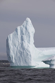 <b class=qtipBold><figcaption>Avalon Peninsula</figcaption></b><br>Icebergs, Kings Cove, Newfoundland, Canada<br><em>© Greg Johnston / DanitaDelimont.com</em> Avalon Peninsula