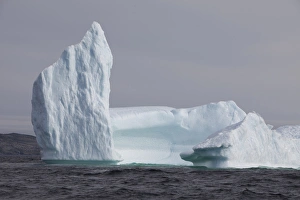 <b class=qtipBold><figcaption>Avalon Peninsula</figcaption></b><br>Icebergs, Kings Cove, Newfoundland, Canada<br><em>© Greg Johnston / DanitaDelimont.com</em> Avalon Peninsula