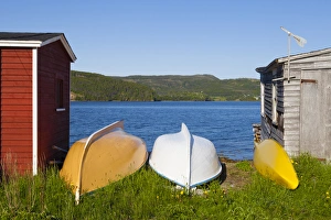 <b class=qtipBold><figcaption>Avalon Peninsula</figcaption></b><br>Trinity, Newfoundland, Canada<br><em>© Greg Johnston / DanitaDelimont.com</em> Avalon Peninsula