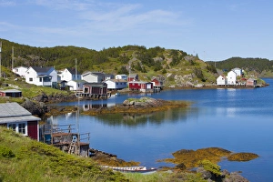 <b class=qtipBold><figcaption>Avalon Peninsula</figcaption></b><br>Twillingate, Newfoundland, Canada<br><em>© Greg Johnston / DanitaDelimont.com</em> Avalon Peninsula