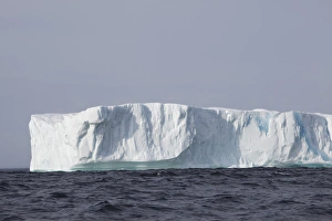 <b class=qtipBold><figcaption>Avalon Peninsula</figcaption></b><br>Icebergs, Kings Cove, Newfoundland, Canada<br><em>© Greg Johnston / DanitaDelimont.com</em> Avalon Peninsula