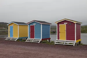 <b class=qtipBold><figcaption>Avalon Peninsula</figcaption></b><br><em>© Greg Johnston / DanitaDelimont.com</em> Avalon Peninsula