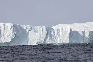 <b class=qtipBold><figcaption>Avalon Peninsula</figcaption></b><br><em>© Greg Johnston / DanitaDelimont.com</em> Avalon Peninsula