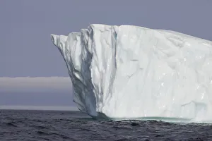 <b class=qtipBold><figcaption>Avalon Peninsula</figcaption></b><br><em>© Greg Johnston / DanitaDelimont.com</em> Avalon Peninsula
