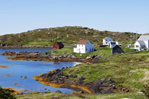 <b class=qtipBold><figcaption>Avalon Peninsula</figcaption></b><br><em>© Greg Johnston / DanitaDelimont.com</em> Avalon Peninsula