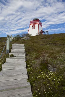 <b class=qtipBold><figcaption>Avalon Peninsula</figcaption></b><br><em>© Greg Johnston / DanitaDelimont.com</em> Avalon Peninsula