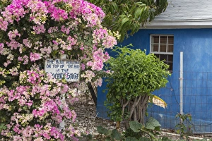 Bahamas, Exuma Island. Bougainvillea and sign Bahamas, Exuma Island. Bougainvillea and sign