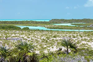 Bahamas, Exuma Island, Cays Land and Sea Park Bahamas, Exuma Island, Cays Land and Sea Park