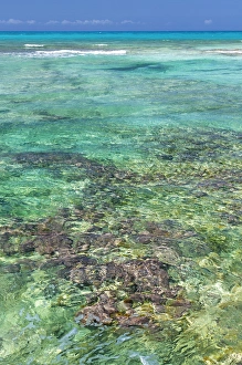Bahamas, Exuma Island. Seascape of clear ocean water Bahamas, Exuma Island. Seascape of clear ocean water