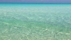 Bahamas, Exuma Island. Seascape of Shroud Cay Bahamas, Exuma Island. Seascape of Shroud Cay