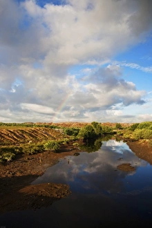 Bali, Indonesia. Suwung Waste dump, a legal trash dump located on Serangan island Bali, Indonesia. Suwung Waste dump, a legal trash dump located on Serangan island