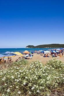 Baratti Populonia Beach, Baratti, Livorno Province, Tuscany, Italy Baratti Populonia Beach, Baratti, Livorno Province, Tuscany, Italy