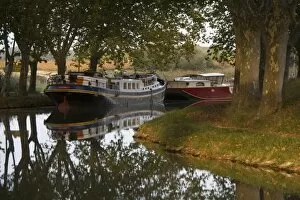 Plane Tree Gallery: Barges tied up along bank of the Canal du Midi, Aude, Languedoc, France