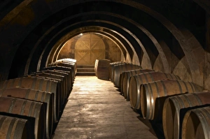 The barrel aging cellar with lines of barriques and dramatic lighting. Chateau Mourgues The barrel aging cellar with lines of barriques and dramatic lighting. Chateau Mourgues