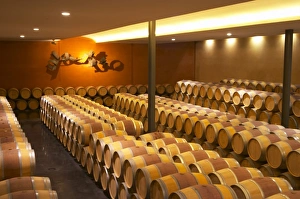 The barrel aging cellar with a sculpture on the far end wall symbolising the flight The barrel aging cellar with a sculpture on the far end wall symbolising the flight