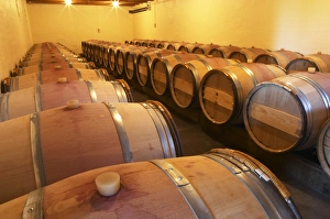 The barrel cellar for aging the wines in oak casks - Chateau La Grave Figeac The barrel cellar for aging the wines in oak casks - Chateau La Grave Figeac
