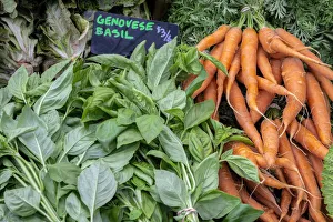 Basil and carrots at farmer's market, USA Basil and carrots at farmer's market, USA