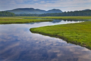 Bass Harbor Marsh in Acadia National Park, Maine, USA Bass Harbor Marsh in Acadia National Park, Maine, USA