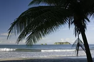Images Dated 10th December 2006: Beach with islands palmtree, Manuel Antonio, Central Pacific Coast, Costa Rica, Central America