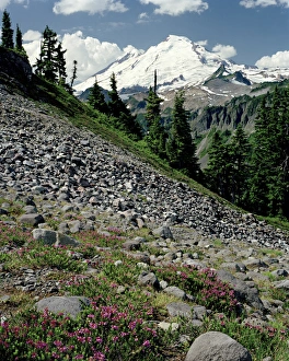 A Beautiful alpine day with Mount Baker towering above, cumulus clouds floating in the sky A Beautiful alpine day with Mount Baker towering above, cumulus clouds floating in the sky