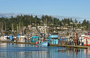 Beautiful old working fishing boats in harbor at sunset in Newport Oregon on Oregon Coast Beautiful old working fishing boats in harbor at sunset in Newport Oregon on Oregon Coast
