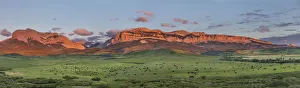 Beef cattle graze below Walling Reef on the Rocky Mountain Front at sunrise near Dupuyer Beef cattle graze below Walling Reef on the Rocky Mountain Front at sunrise near Dupuyer