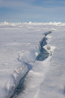 beginnings of an open lead on the frozen Chuckchi Sea, off Point Barrow, Arctic Alaska beginnings of an open lead on the frozen Chuckchi Sea, off Point Barrow, Arctic Alaska