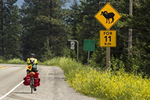 Bicycle touring on the Adventure Cycling Glacier Waterton tour near Fernie Bicycle touring on the Adventure Cycling Glacier Waterton tour near Fernie