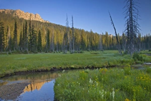 Big Therriault Creek runs through lush summer meadow below St Clair Peak in the Ten Big Therriault Creek runs through lush summer meadow below St Clair Peak in the Ten