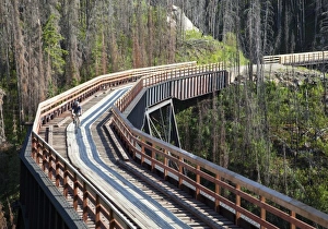 Biker rides across trestle in Myra Canyon on the Kettle Valley Railway bike path near Kelowna Biker rides across trestle in Myra Canyon on the Kettle Valley Railway bike path near Kelowna
