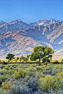 Biship; Eastern Sierra Region; Owens Valley; USA Biship; Eastern Sierra Region; Owens Valley; USA