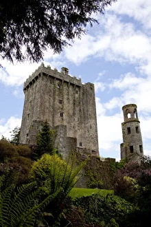 The Blarney Castle framed by colored textured plants under a blue sky with white The Blarney Castle framed by colored textured plants under a blue sky with white