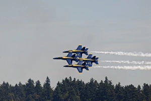 The Blue Angels, performing at SEAFAIR F/A-18 Hornet aircraft, Seattle, WA The Blue Angels, performing at SEAFAIR F/A-18 Hornet aircraft, Seattle, WA