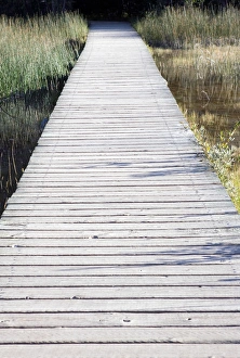 Boardwalk over swamps near Laird River in Hotsprings Provincial Park in British Columbia Boardwalk over swamps near Laird River in Hotsprings Provincial Park in British Columbia